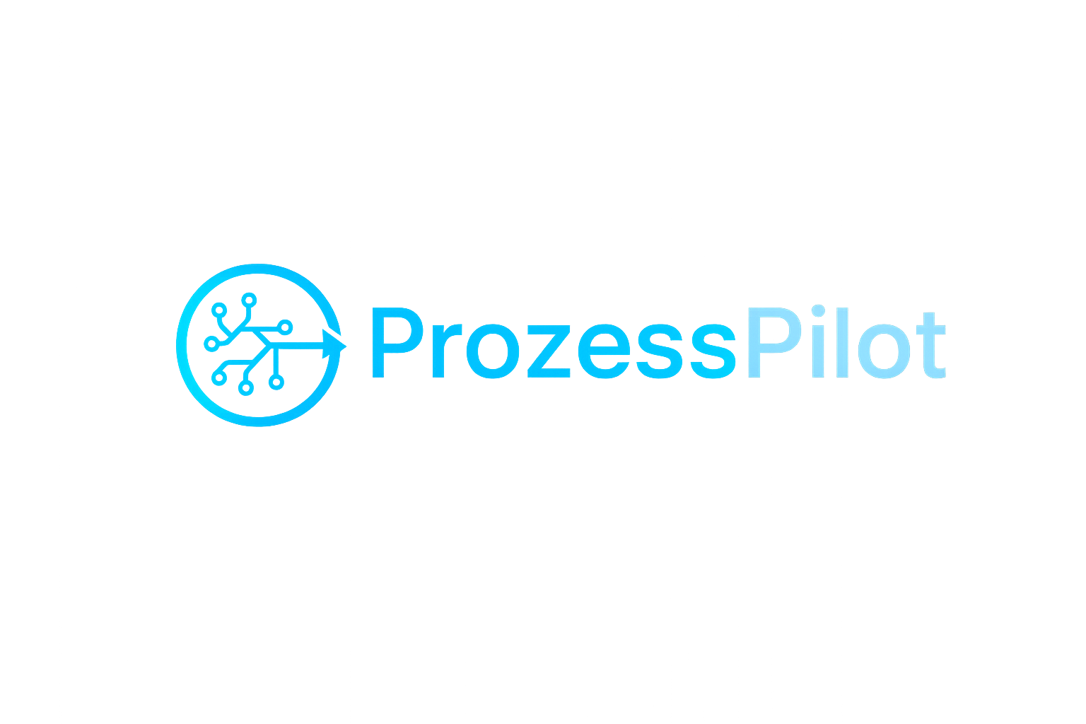 ProzessPilot Logo